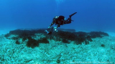 Der Apokoronas Diving Park soll der erste voll lizenzierte Tauchpark Griechenlands sein. (Foto: Dimitris Poursanidis/terrasolutions.eu/Apokoronas/dpa-tmn)