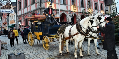 Foto: Gudrun Schwarz-Köhler