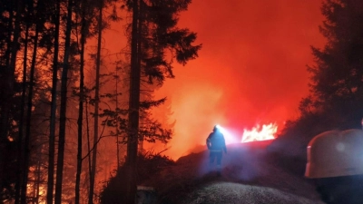 In Österreich steht eine Fläche von 110 Hektar in Flammen. (Foto: Unbekannt/FF LIESING/dpa)