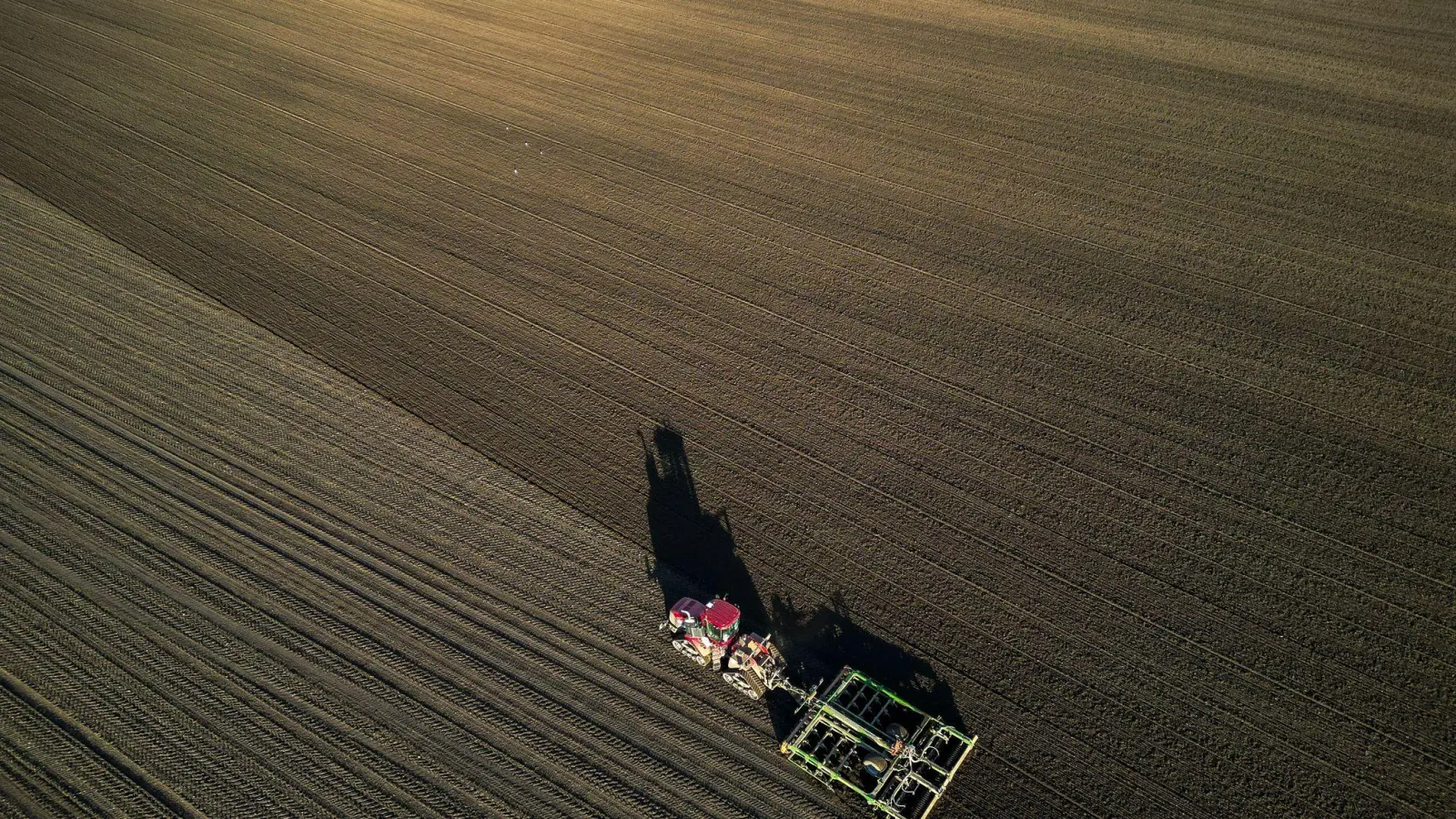 Die Bauern befürchten schwierige Geschäftsbedingungen 2026. (Archivbild)  (Foto: Jan Woitas/dpa)