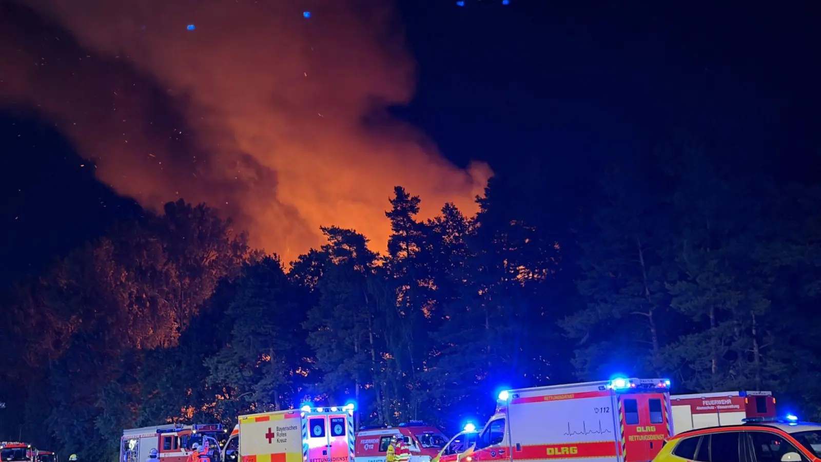 Ein Waldstück in Nürnberg brannte.  (Foto: Sven Grundmann/NEWS5/dpa)