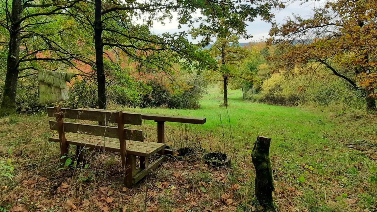 Zur Ruhe kommen - gesehen bei Oberampfrach. (Foto: Marion Ott)