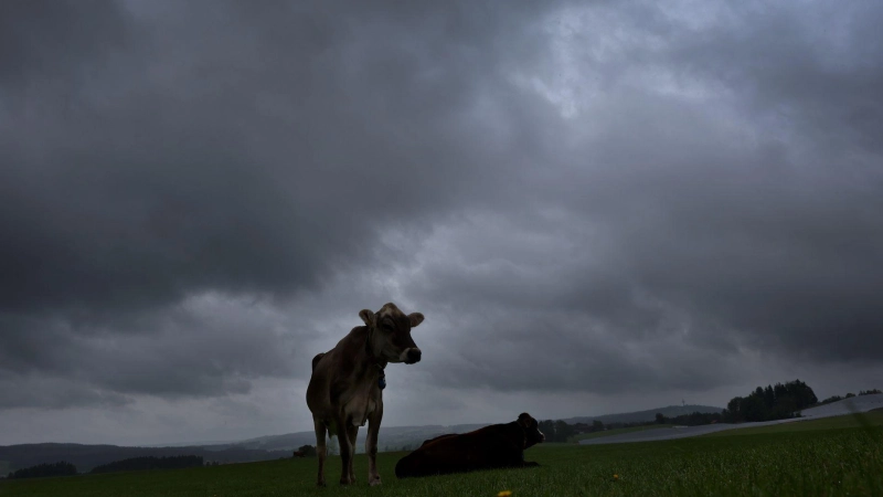 Am Dienstag soll es viel Regen und einzelne Gewitter geben. (Archivbild) (Foto: Karl-Josef Hildenbrand/dpa)