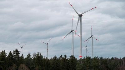Im Lindenhardter Forst der Bayerischen Staatsforsten gibt es bereits Windräder. An drei anderen Orten sollen weitere folgen. (Archivbild) (Foto: Daniel Vogl/dpa)