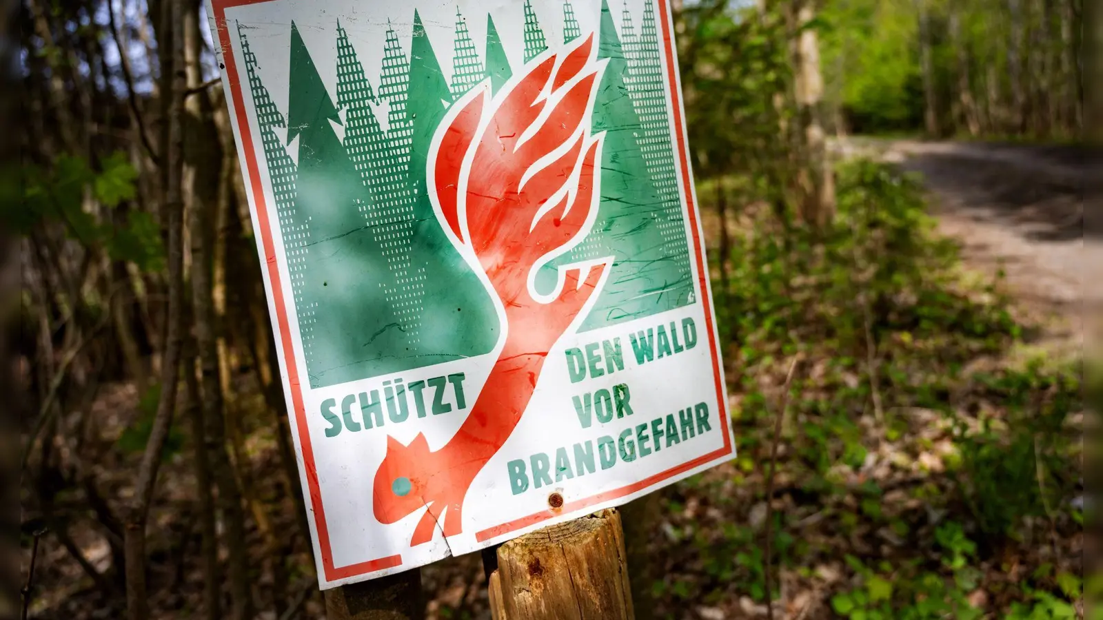 Wegen der steigenden Waldbrandgefahr sollen in Niederbayern drei Beobachtungsflüge stattfinden. (Symbolbild) (Foto: Stefan Sauer/dpa)