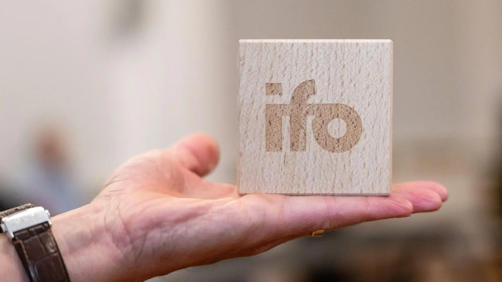 Schlechter als derzeit lag das Ifo-Beschäftigungsbarometer zuletzt mitten in der Corona-Pandemie. (Symbolbild) (Foto: Leonie Asendorpf/dpa)