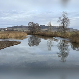 Fast eisfrei - gesehen bei Ruffenhofen (Foto: Dietmar Eder)