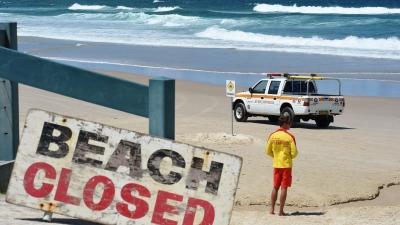 In den Gewässern von Australien tummeln sich drei Arten von Hammerhaien. Um welche Art es sich am Palm Beach handelte, ist unklar (Archibild). (Foto: Dave Hunt/AAP/dpa)