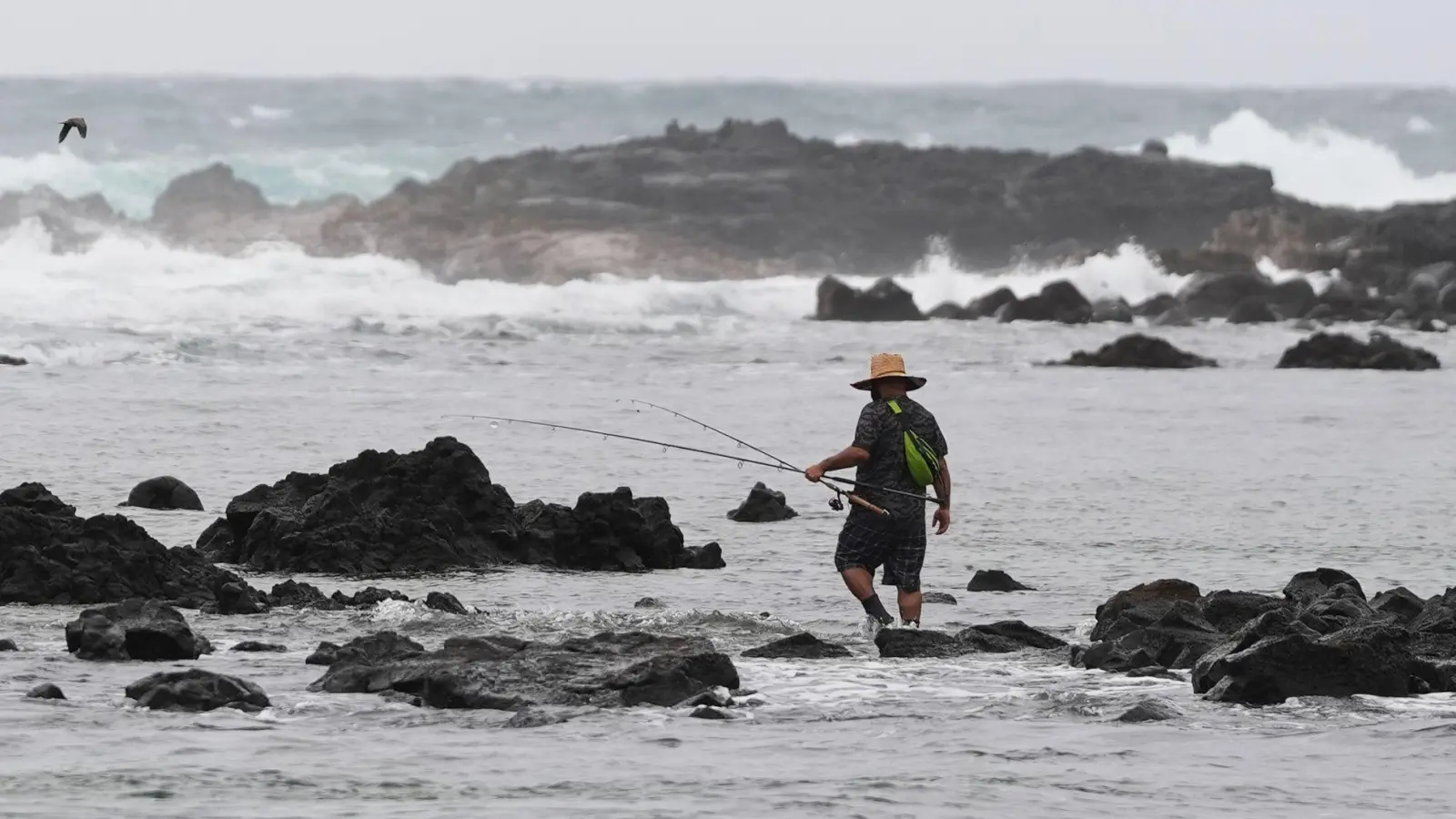 Die diesjährige Hurrikansaison im Pazifik ist wegen des Klimaphänomens El Niño sehr intensiv. (Foto: Gregory Bull/AP/dpa)