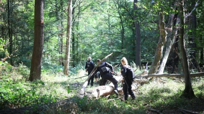 Die Polizei sucht mitten im Wald nach dem Verdächtigen. (Foto: Christoph Reichwein/dpa)