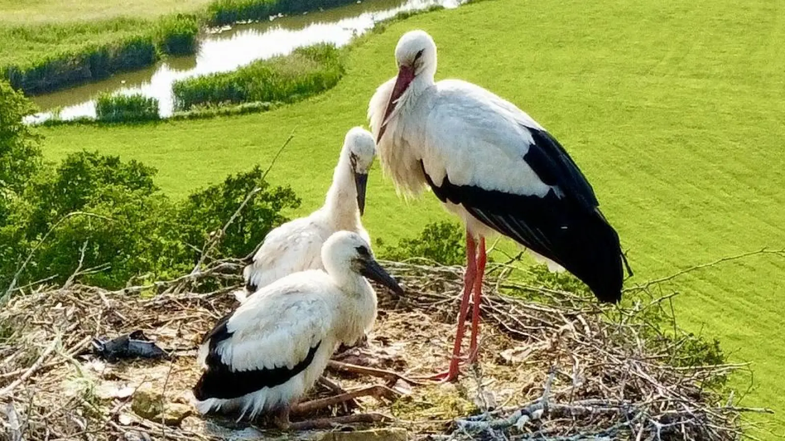 Ausblick vom Storchennest - gesehen in Wilburgstetten. (Foto: Karin Mahler)