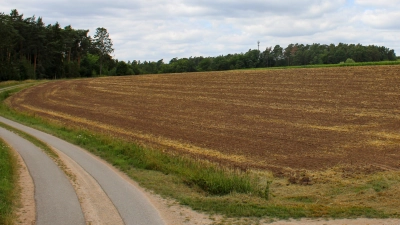 Auf dieser Ackerfläche nordöstlich von Immeldorf soll ein Solarpark entstehen. Links direkt hinter den Bäumen verläuft die Autobahn A6. (Foto: Constantin Prosch)
