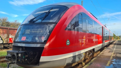 Die RB82 ist momentan langsamer als gewohnt zwischen Steinach und Rothenburg unterwegs. (Foto: Anna Franck)