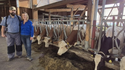 Andreas und Ewelina Zeller führen einen Milchviehbetrieb in Insingen. Normalerweise sollten ihre Kühe Ende August auf der Weide stehen. Doch normal ist in diesem Sommer nichts. (Foto: Margit Schwandt)