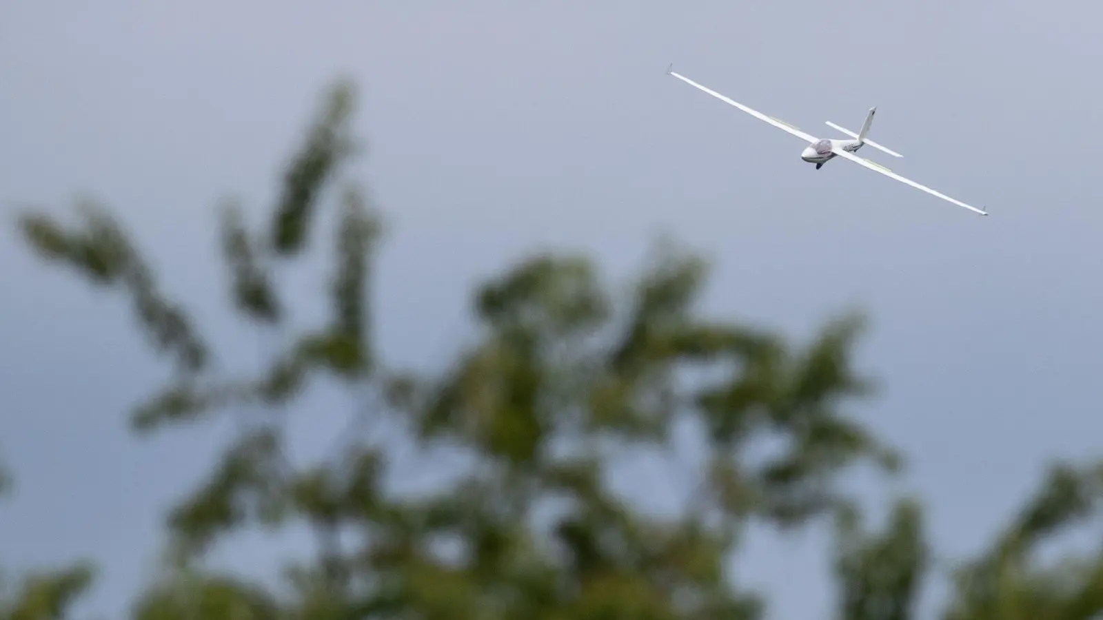 Für einen Segelflieger war ein Feld bei Petersaurach die Endstation. (Symbolbild: Friso Gentsch/dpa)