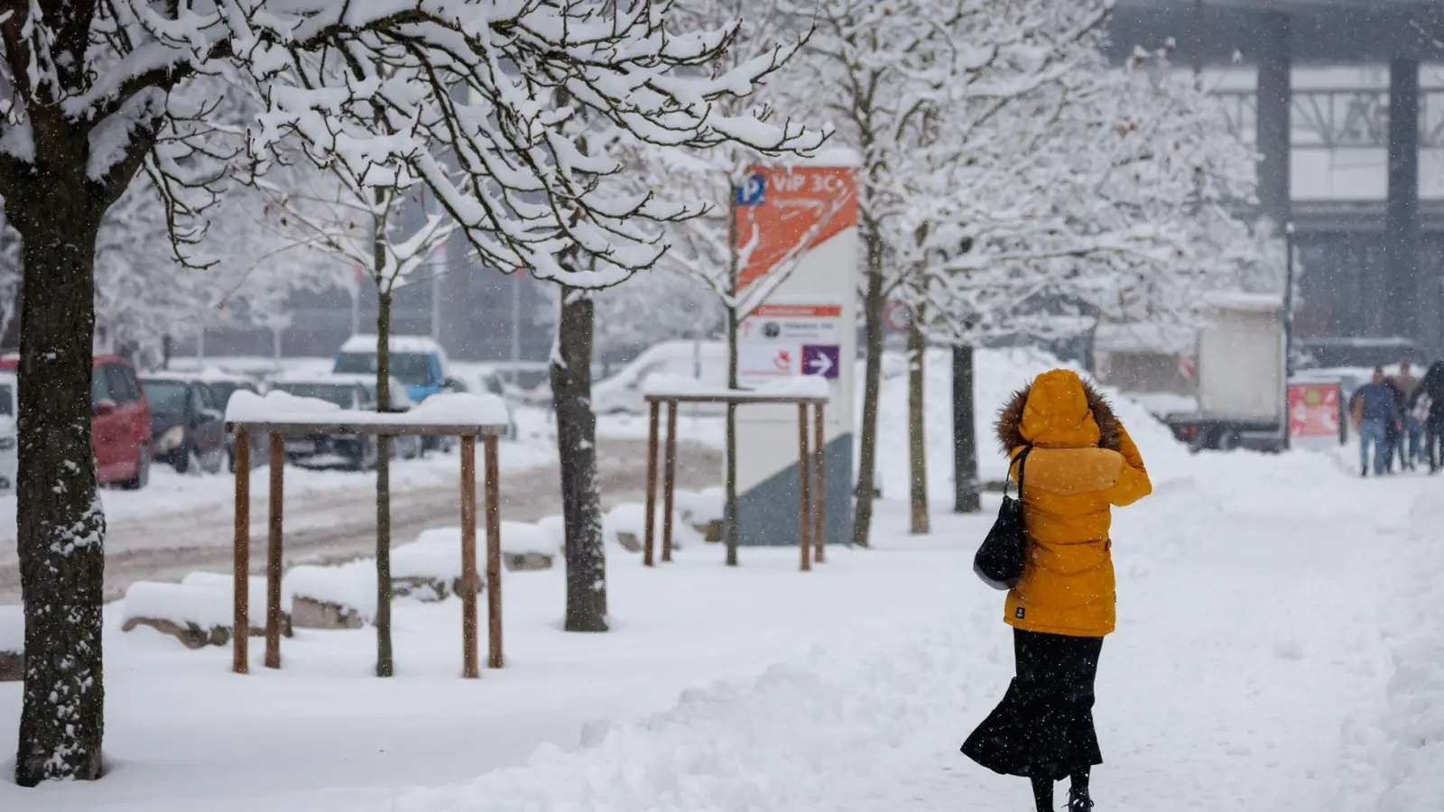 In Nürnberg hat sich viel Schnee auf den Ästen der Bäume gesammelt. Deshalb bleiben zwei große Friedhöfe vorsichtshalber geschlossen. (Symbolbild) (Foto: Daniel Karmann/dpa)