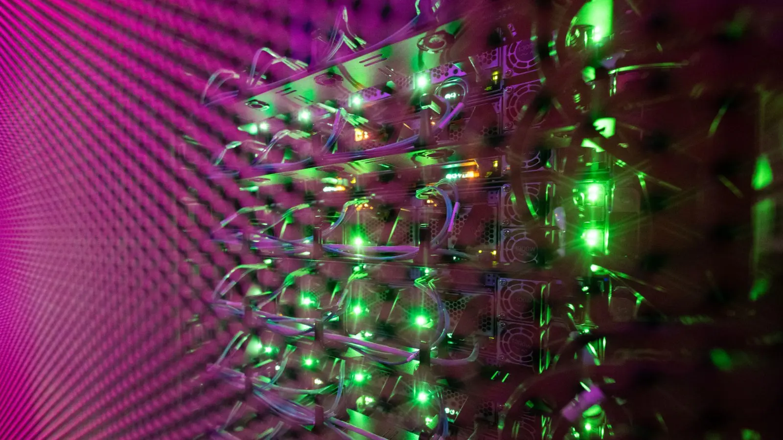 Cloud-Dienste sind bei vielen Unternehmen beliebt (Archivbild) (Foto: Sebastian Gollnow/dpa)