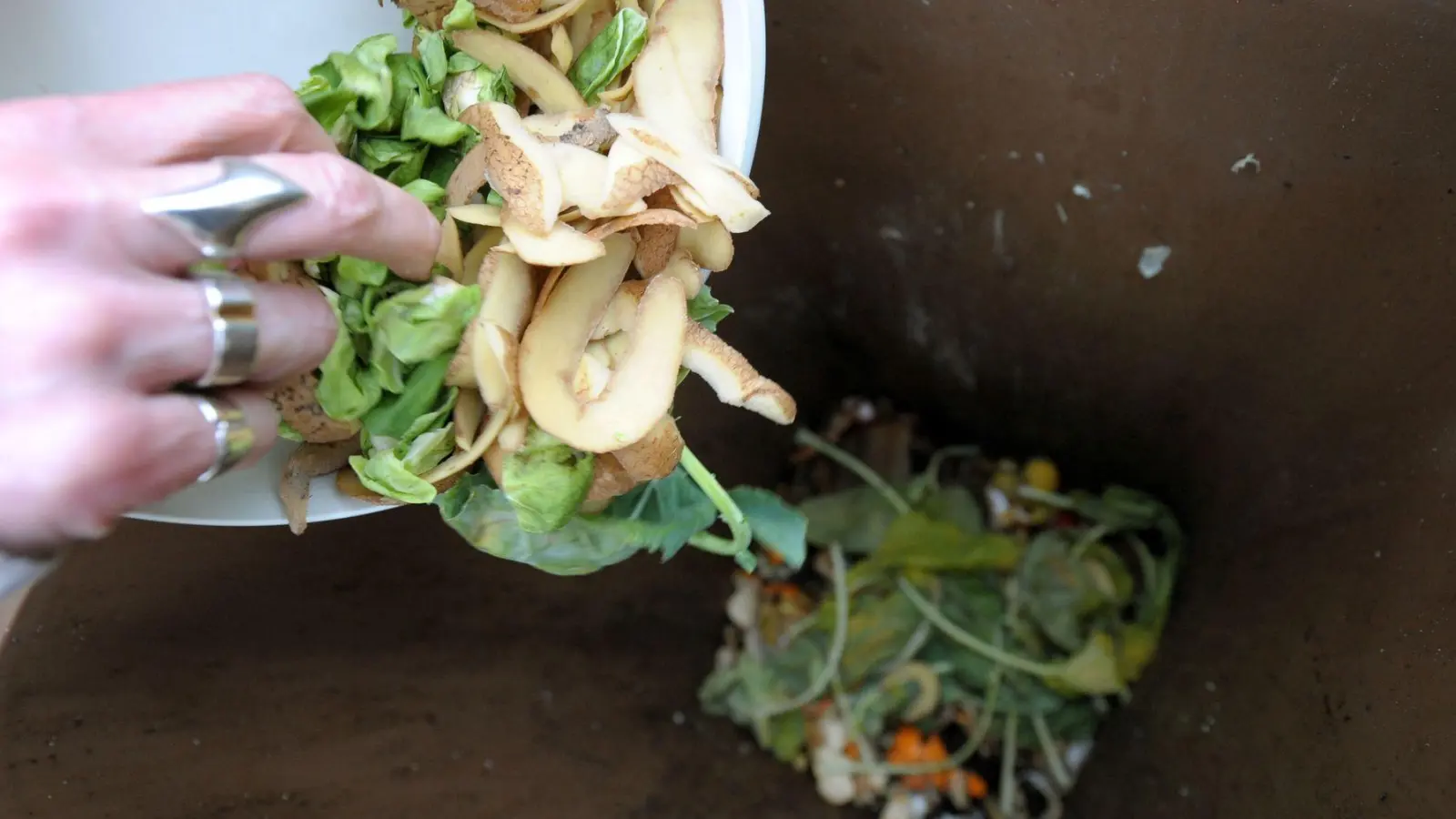 Am besten entsorgt man den Biomüll gut abgetropft in die Biotonne, denn je trockener der Müll, desto weniger Gestank und Ungeziefer entstehen. (Foto: Peter Steffen/dpa)