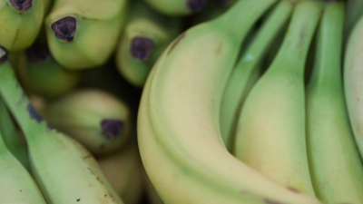 Preise für viele Lebensmittel haben im Januar angezogen. (Symbolbild) (Foto: Marcus Brandt/dpa)