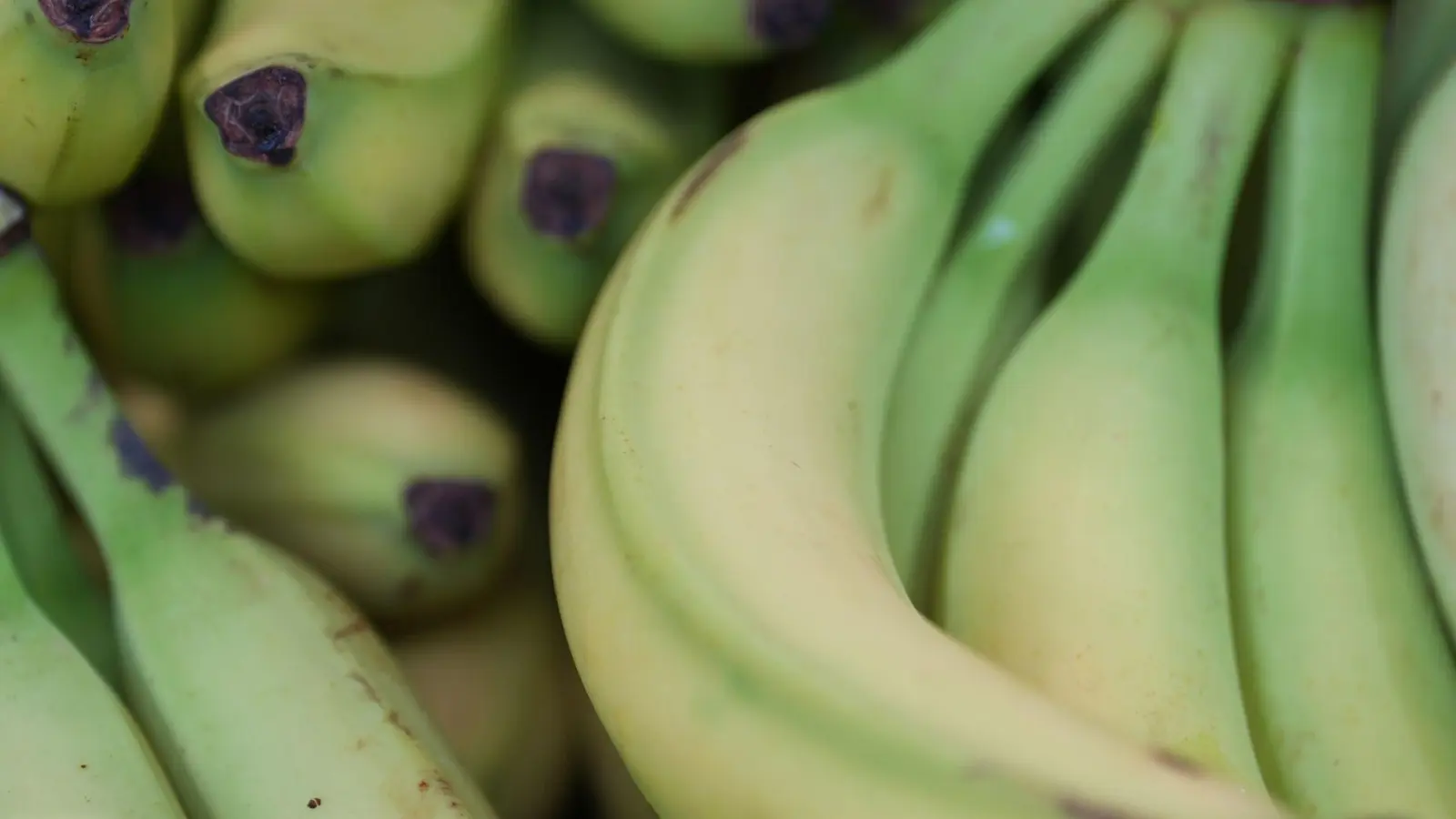Preise für viele Lebensmittel haben im Januar angezogen. (Symbolbild) (Foto: Marcus Brandt/dpa)