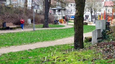 Im Ansbacher Stadtgraben räumte am Freitagabend ein Betrunkener mehrere Mülleimer aus. Das aber war nur der Anfang einer wahren Odyssee.  (Symbolbild: Jim Albright)