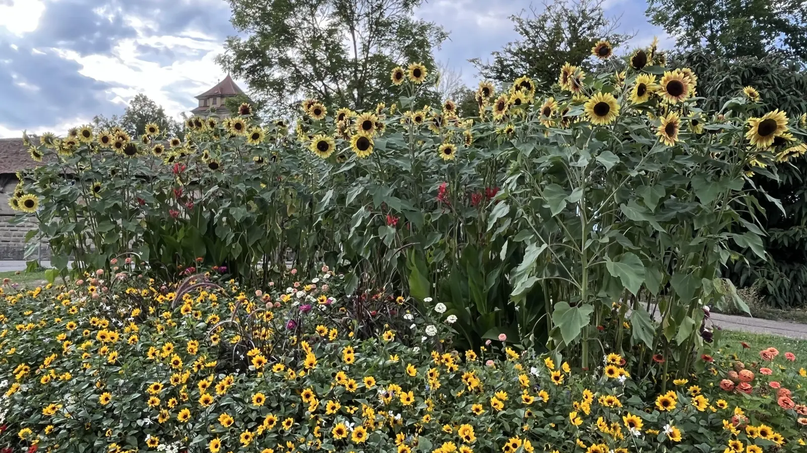 Blumengruß amTor - gesehen in Rothenburg. (Foto: Sonja Hammami)