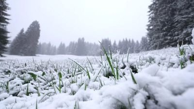 In höheren Lagen ist noch einmal Neuschnee gefallen. Und es bleibt weiter kühl. (Foto: Karl-Josef Hildenbrand/dpa)