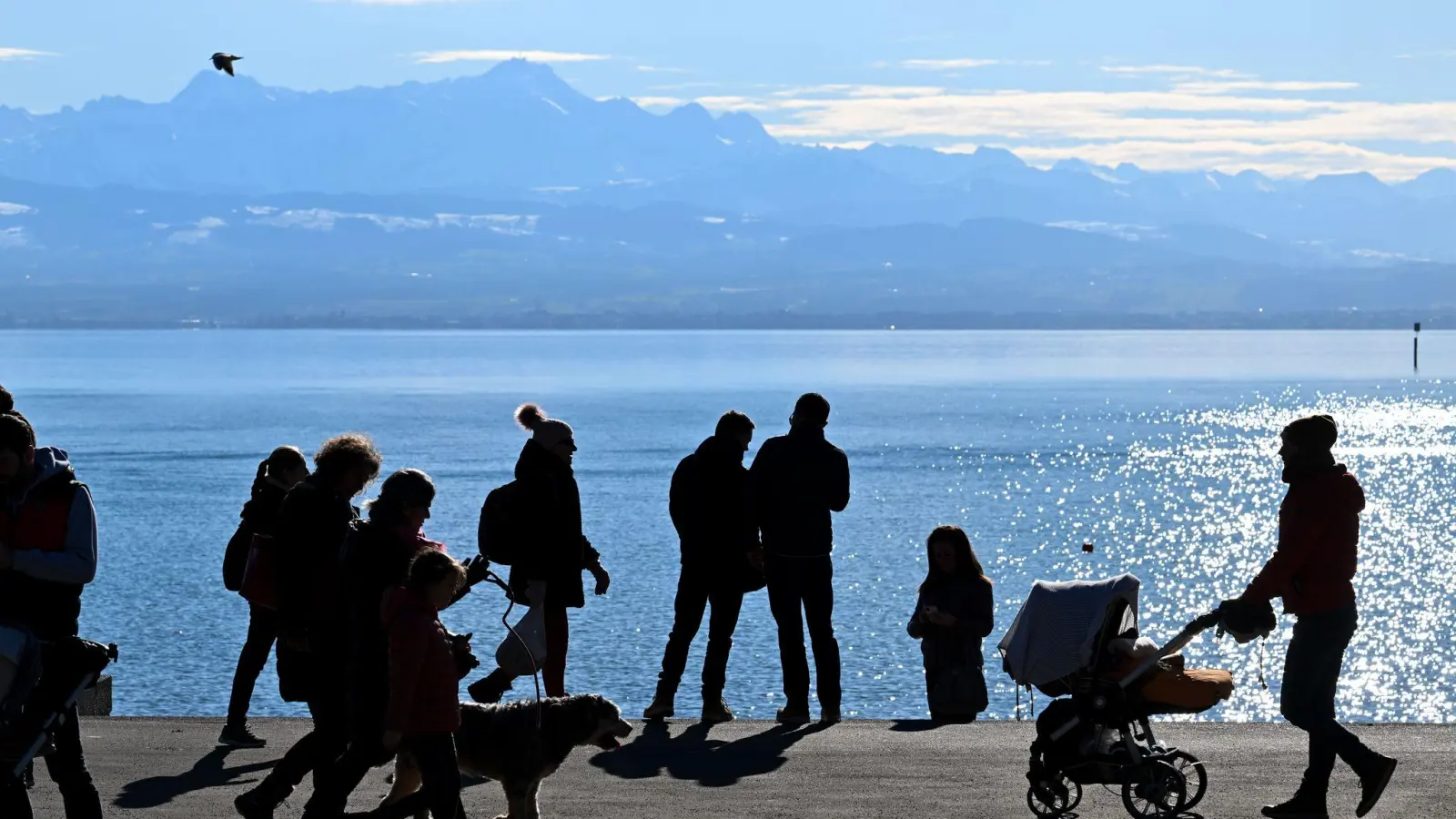 Die Familien waren unzureichend ausgerüstet. (Symbolbild) (Foto: Felix Kästle/dpa)