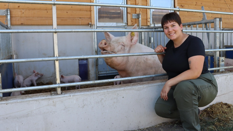 Den Rüssel Richtung Sonne: Die Muttersauen und ihr Nachwuchs können auch nach außen. Lena Bauer freut sich mit ihnen. (Foto: Antonia Müller)