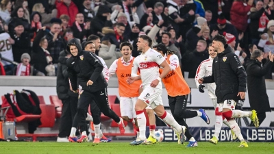 Ermedin Demirovic jubelt nach seinem Tor zum 1:0. (Foto: Harry Langer/dpa)