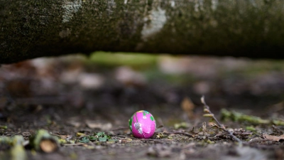 In einem Waldstück im Norden Schleswig-Holsteins ist ein Baum auf eine Gruppe gestürzt. (Foto: Daniel Reinhardt/dpa)
