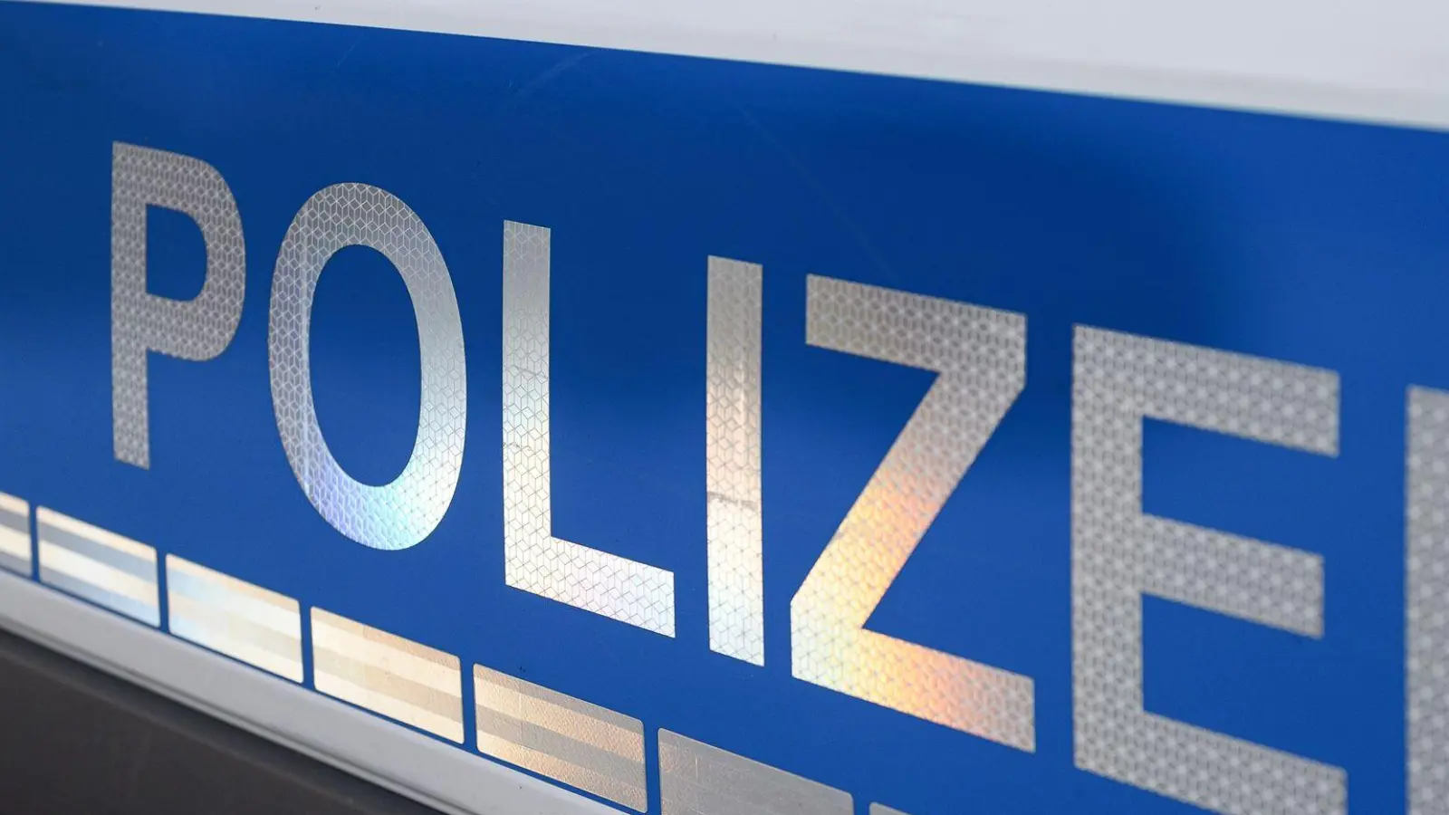 Die Polizei sucht nach dem Fahrer. (Symbolbild) (Foto: Daniel Vogl/dpa)