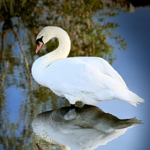 Doppelt schön! - gesehen in Wittelshofen. (Foto: Karin Mahler)