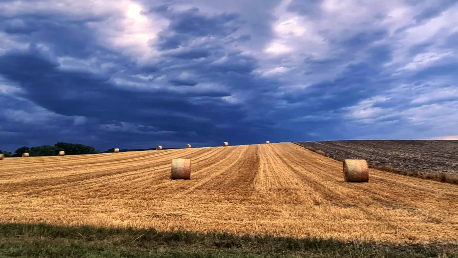Grummelstimmung auch bei Kaubenheim (Gemeinde Ipsheim) im Landkreis Neustadt/Aisch-Bad Windsheim. (Foto: Uschi Wendel)