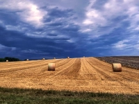 Grummelstimmung - gesehen bei Kaubenheim (Foto: Uschi Wendel)