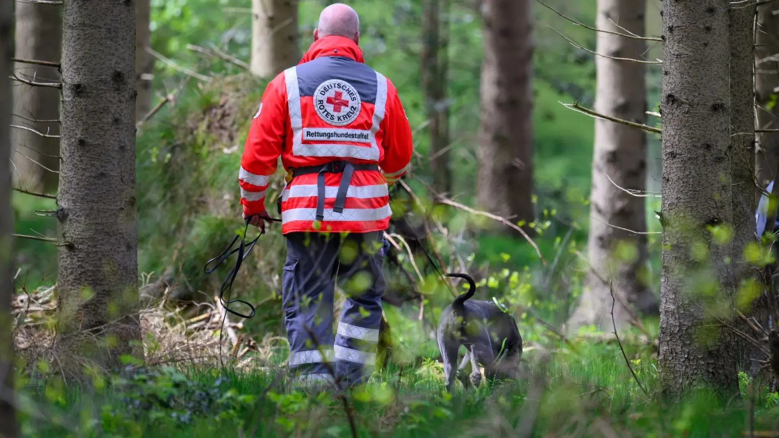 Auch mit Suchhunden suchten die Einsatzkräfte nach dem Vermissten. (Symbolbild) (Foto: Daniel Reinhardt/dpa)
