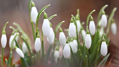 Die Temperaturen in Bayern steigen weiter an. (Symbolbild) (Foto: Katrin Requadt/dpa)