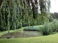 Idylle am Weiher - gesehen bei Wohnbach (Foto: Hannelore Krauß)