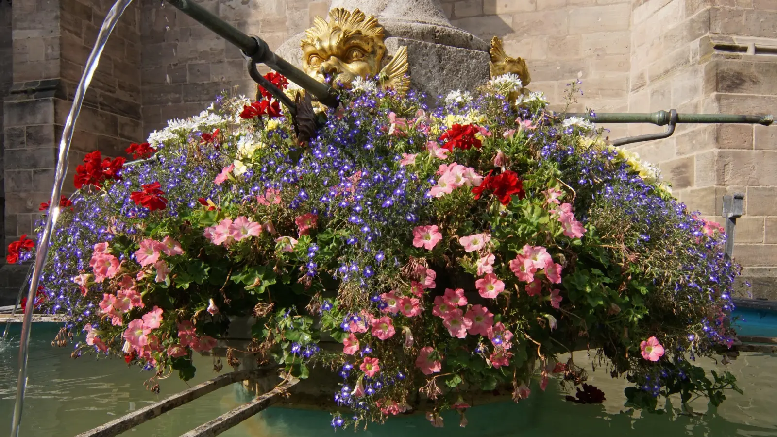 Prächtiger Blumenschmuck - gesehen in Ansbach. (Foto: Ralf Hanisch)