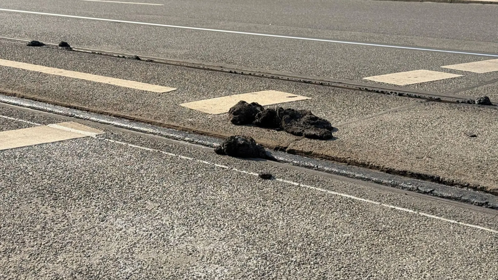 In der Hitze ist Bitumen weich geworden und klebt wie zähes Kaugummi an Schienen und Rädern der Straßenbahnen (Archivbild) (Foto: Irena Güttel/dpa)