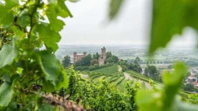 Die Reben auf den Weinbergen rings um das Schloss Ortenberg im badischen Ortenaukreis wachsen auf alten Granitböden und verleihen den daraus produzierten Weinen besondere mineralische Tiefe. (Foto: Silas Stein/dpa/dpa-tmn)