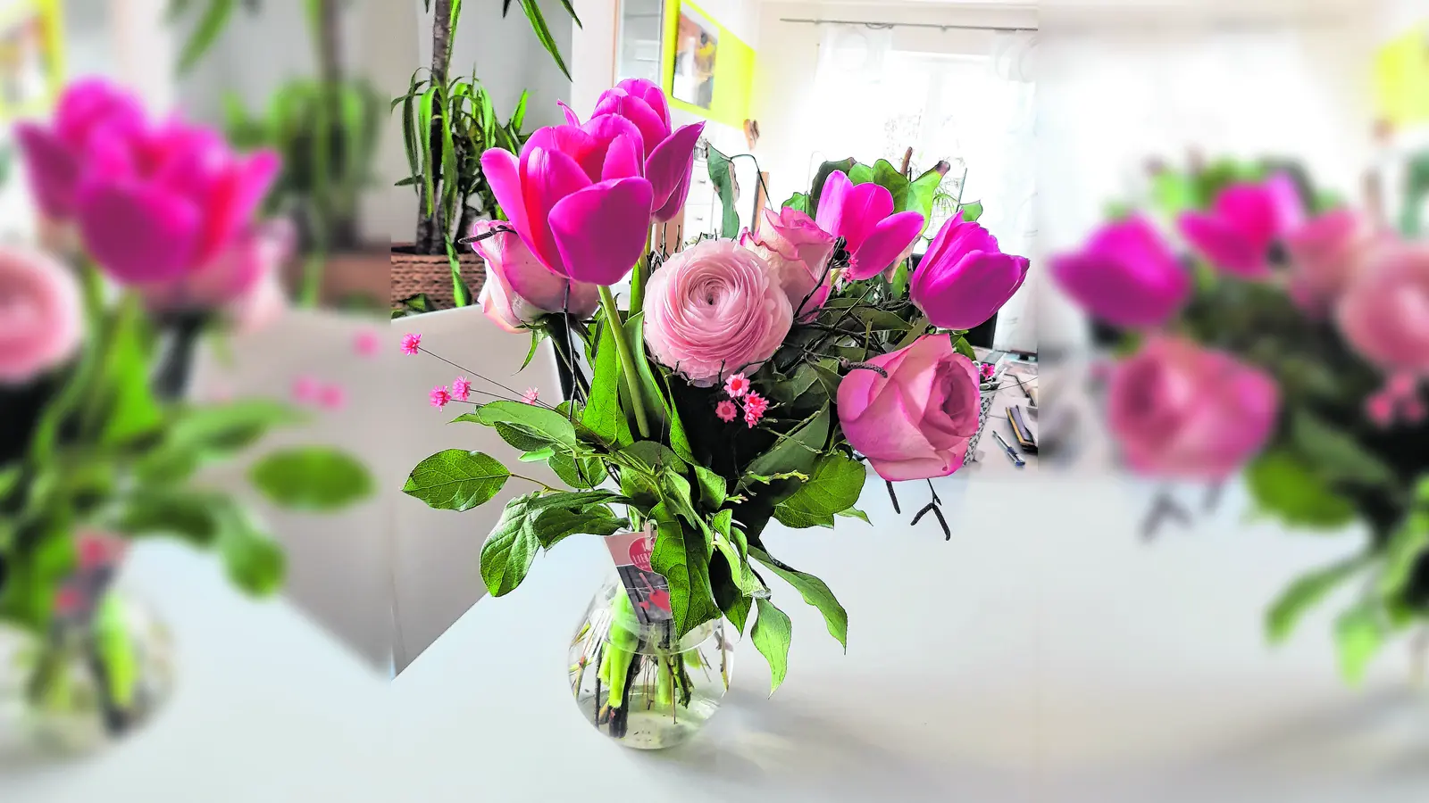 Farbenfrohe Blumen lassen die Herzen von Müttern höherschlagen. (Foto: Christian Treffer)