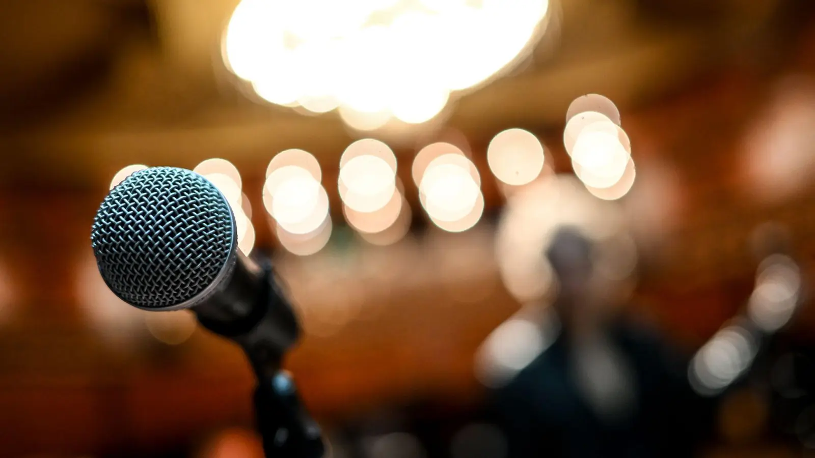 Ein Science Slam soll unterhaltsam Wissenschaft vermitteln. (Symbolbild) (Foto: Britta Pedersen/dpa)