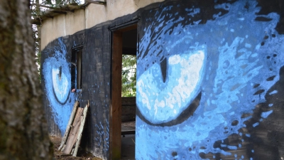 Diese beiden tiefblauen Augen auf schwarzem Hintergrund haben die Besucher an der mysteriösen Kunsthütte am Waldrand des Lonnerstädter Gemeindeteils Mailach – unweit von Uehlfeld – fest im Blick. (Foto: Johannes Zimmermann)