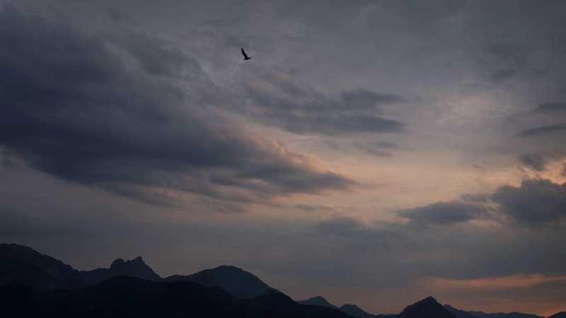 Regen und Gewitter: Es bleibt erstmal nass. (Archivbild) (Foto: Karl-Josef Hildenbrand/dpa)