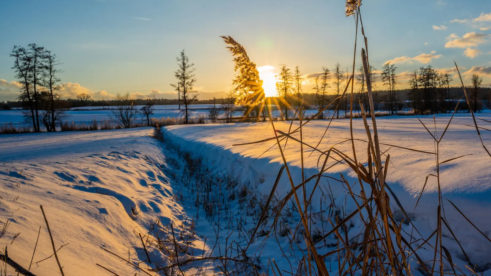Abendsonne auf dem Schnee im Diebacher Wiesengrund am Rempelsbach. (Foto: Johann Schmidt)