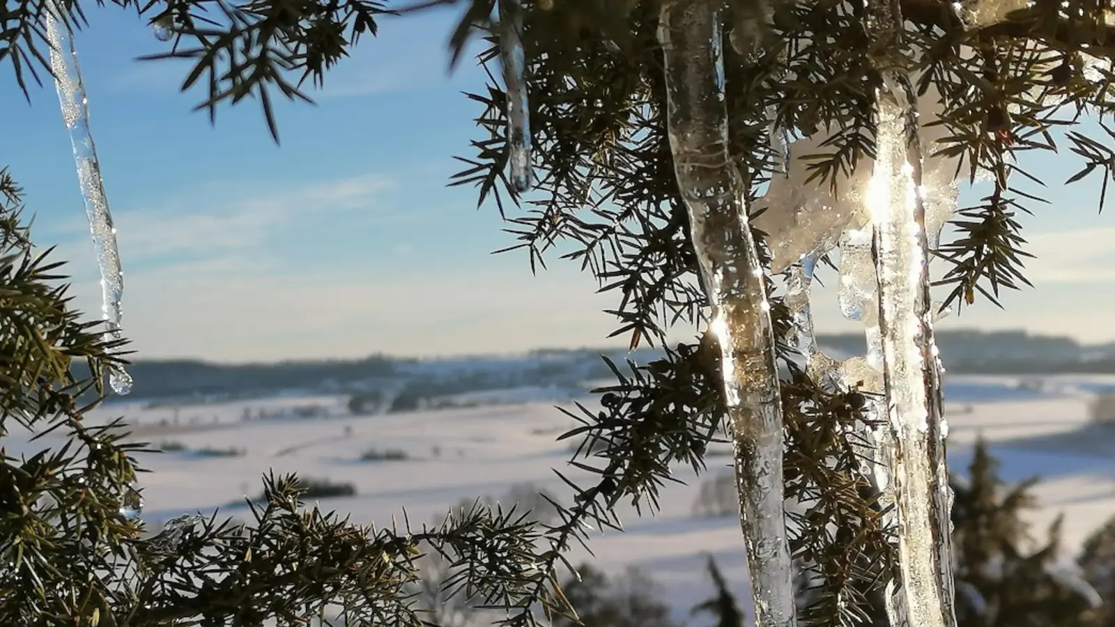 Eiszapfen am Kühberg mit Blick in Richtung Schillingsfürst. (61 Stimmen) (Foto: Renate Kecker)
