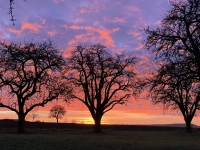 Ein prächtiger Tagesbeginn - gesehen bei Gattenhofen (Foto: Robert Gehringer)