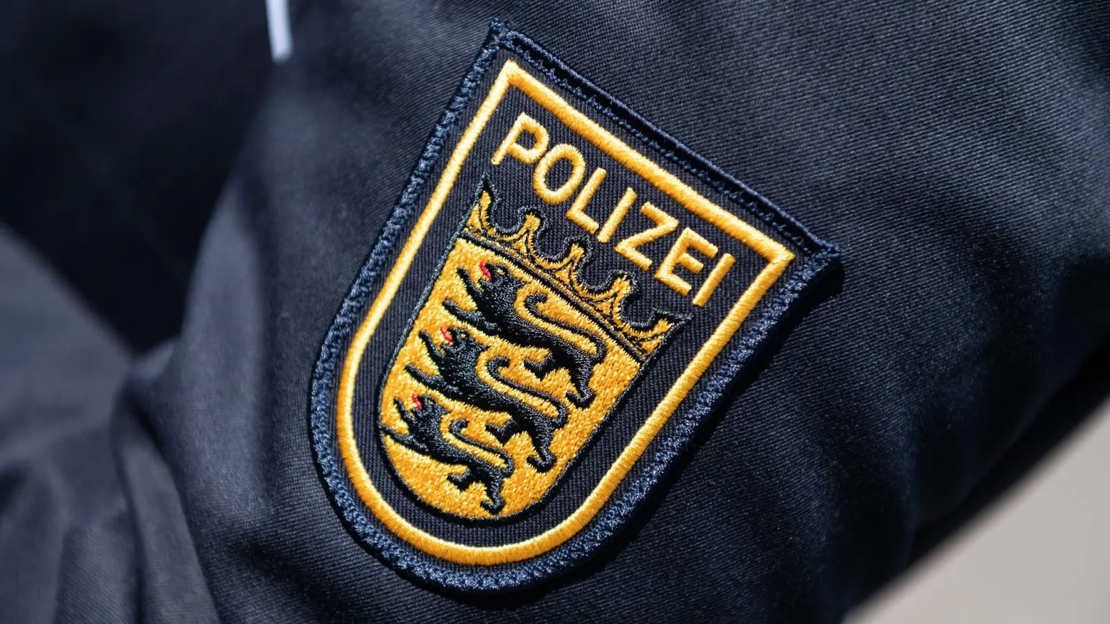 Das Landeskriminalamt Baden-Württemberg will gemeinsam mit der Polizei die Kriminalität in den Griff bekommen. (Foto: Silas Stein/dpa)