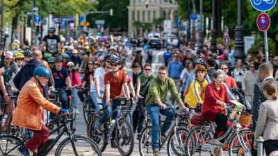 Auf dem Rad ziehen Hunderte Menschen durch München. (Foto: Armin Weigel/dpa)